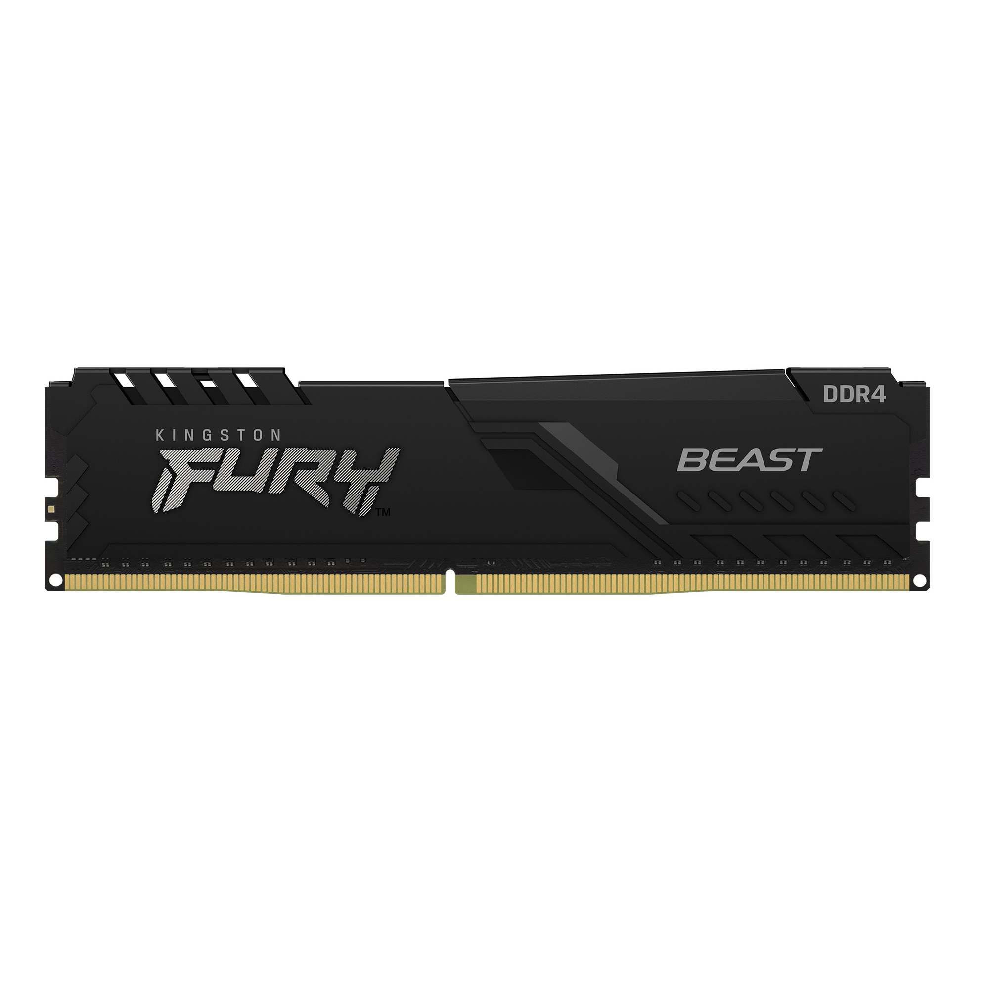 Memoria  Kingston Technology FURY Beast