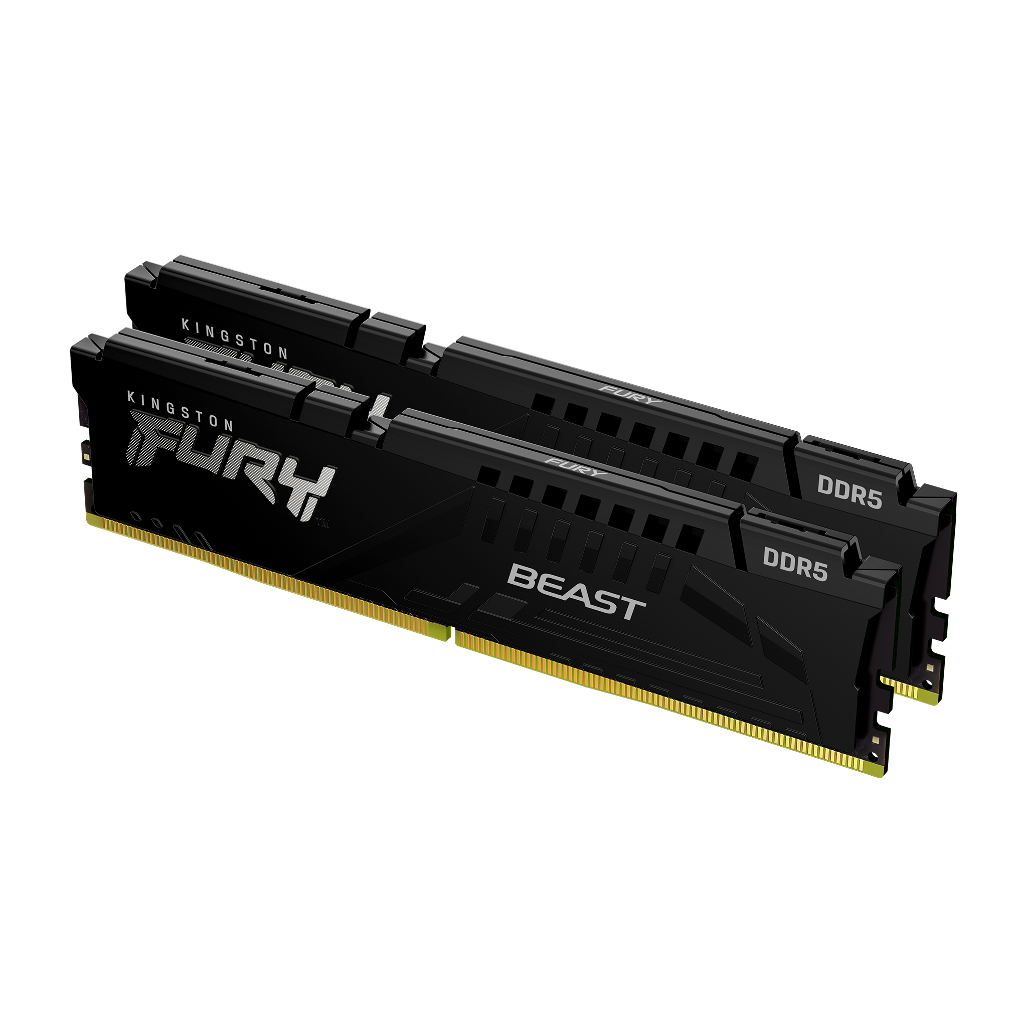 Memoria Kingston Technology FURY BEAST